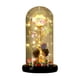 thumbnail image 5 of Colorido 24k lámina de oro floral imitación de oro con luz rosa eterna cubierta de vidrio conjunto con caja de regalo regalo de Navidad, 5 of 5
