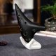 thumbnail image 3 of Ocarina de 12 agujeros, Ocarina de cerámica Alto C, con correa para el cuello, idea de regalo para músico principiante, fácil de aprender, 3 of 5