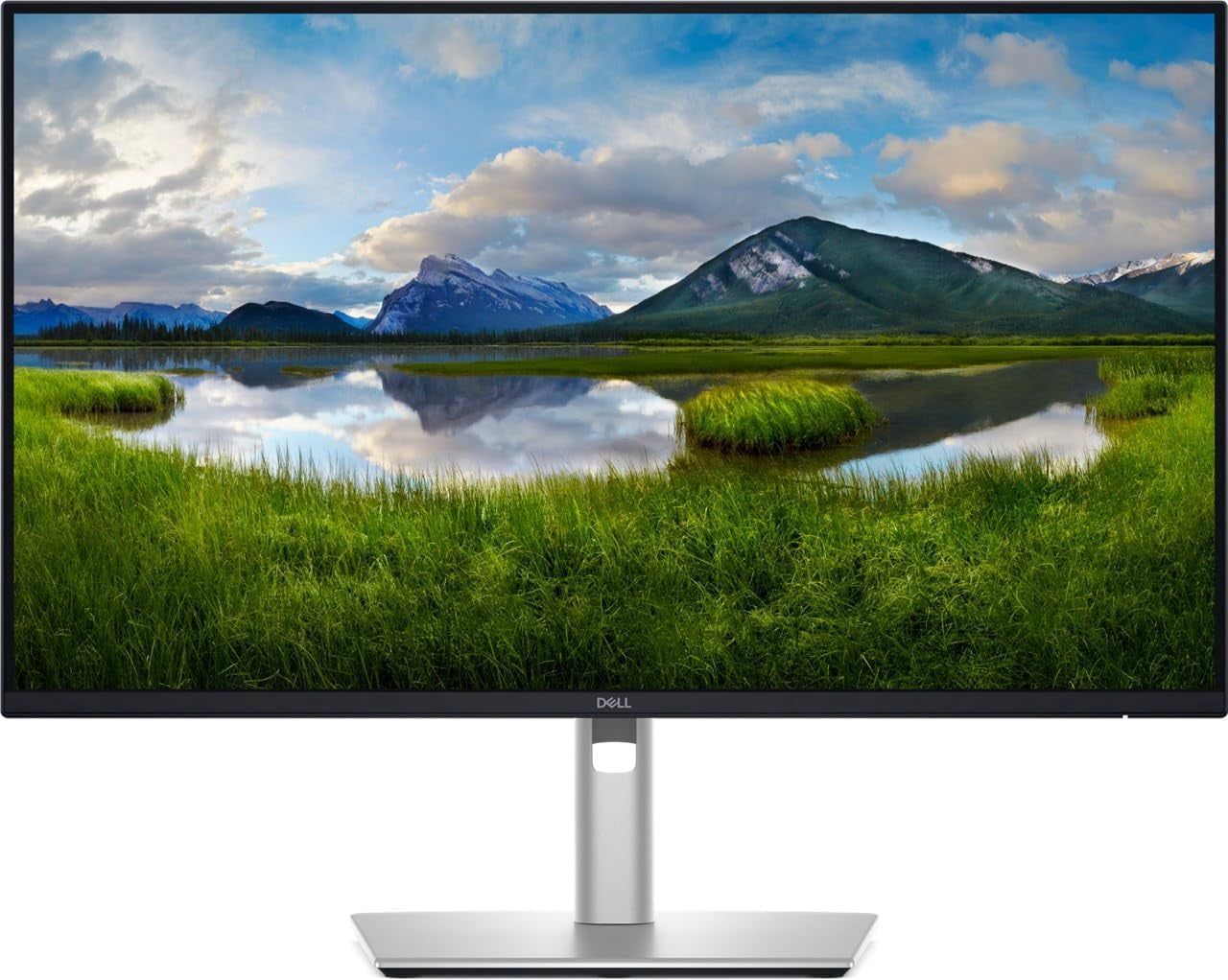 DELL UP2516D Dell UP2516D | Monitor⁄2560 x 🏷️