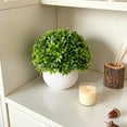 thumbnail image 5 of Artificial Potted Plant for Home Decor – Small Fake Green Bonsai with Plastic Leaves for Desk, Living Room, Office, Shelf, or Window Sill, 5 of 6