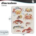 thumbnail image 4 of Stupell Industries Rustic Lodge Nautical Crustacean Collection Canvas Art, 16 x 20, by June Erica Vess, 4 of 8