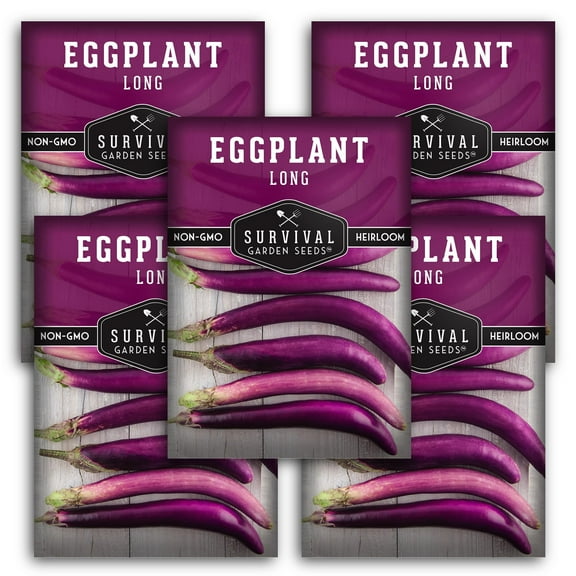 Long Purple Eggplant Seeds - 5 Pack - Non-GMO Heirloom Full Sun Annual Vegetable