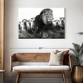 thumbnail image 3 of Elephant Stock Lion Among Sheep Wall Art - Horizontal Canvas Wall Art - Living Room Wall Decor - Animal Canvas - Gray And Black Decor By Zenzdesign - 45" x 30", 3 of 8