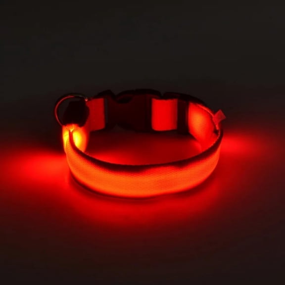 LED Dog Collar – Rechargeable Light Up Dog Collar for Night Walking, Adjustable Nylon Pet Safety Collar with USB Charging for Small, Medium, and Large Dogs (Orange, M)