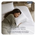 thumbnail image 2 of Fundas de Almohada King Size Esquimal Lyocell 2 Piezas Color Blanco, 2 of 8