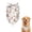White Christmas Gnome, variant on Dog Bandana 2 Pack,White Christmas Gnome Pattern Bandanas for Dogs,Cat Bandana,Small/ Large Dog Bandana 2 Size,Dog Bandanas Girl Boy