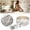 B, variant on Clearance! Zguuel Peel and Stick Molding Flexible Molding Trim Diy Decorative Border Tape for Walls & Foam Molding Trim Self 3D Wall Edging Lines Foam Baseboard for Home Hotel Diy