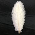thumbnail image 4 of 5/10/25Pcs Soft Ostrich Feathers Plumes Costumes Party Home Wedding Decoration, 4 of 10