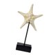 thumbnail image 1 of Estatua de estilo playero, adorno de mesa, decoración del hogar, delicada figura artística del océano Estrella de mar, 1 of 9
