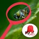 thumbnail image 1 of Kit de Exploración al aire libre Macarena para niños con Silbato Binoculares Linterna Mochila rojo, 1 of 8