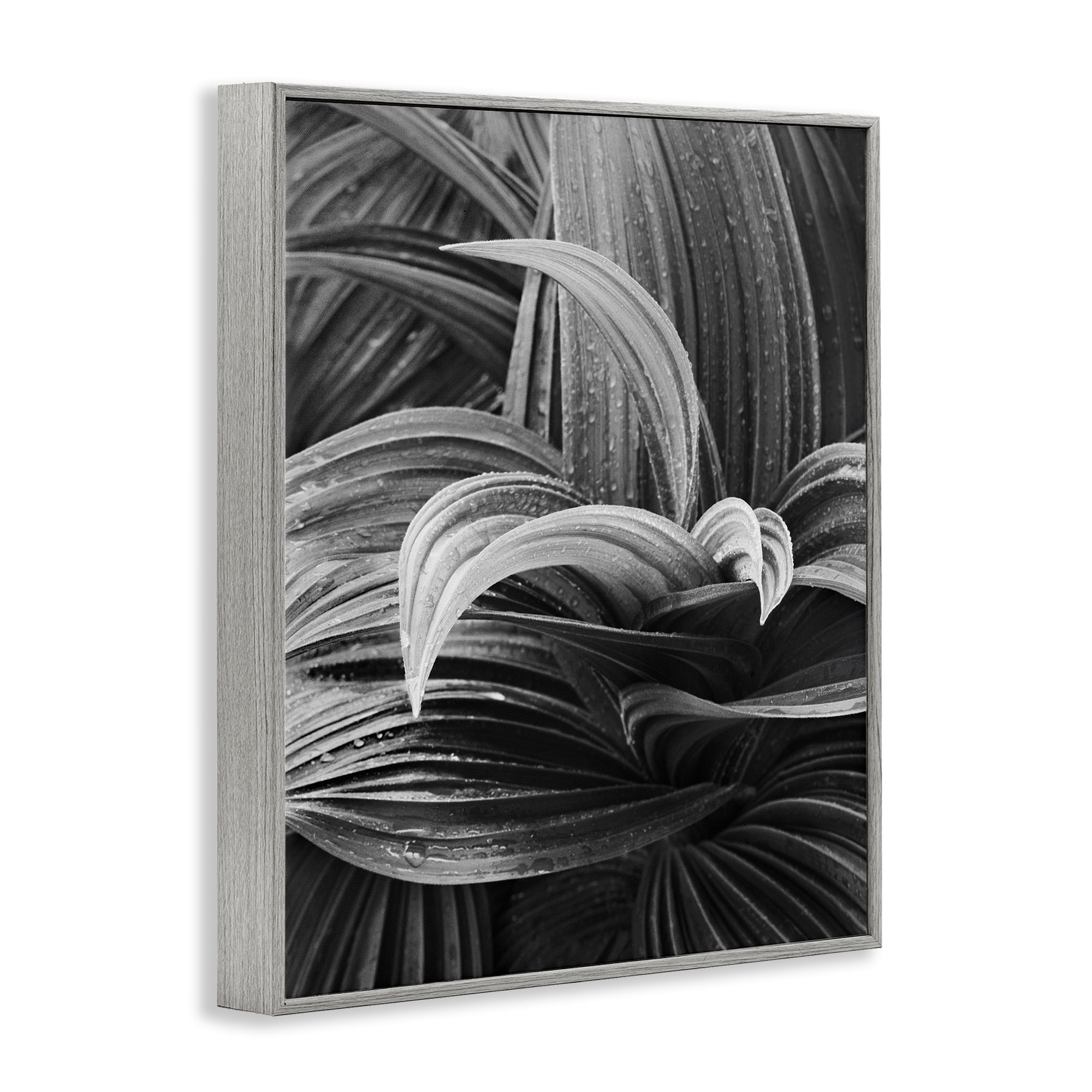 Stupell Industries Wet Leaves Detail Botanical & Floral Photography Gray Framed Art Print Wall Art, 11 x 14