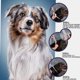 thumbnail image 4 of Typpkmm Dog Anti Flea and Tick Collars with Pet 8 Month Protection Adjustable, 4 of 7