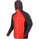 thumbnail image 4 of Regatta - Chaqueta Acolchada Andreson VI para Hombre (Naranja, Gris), 4 of 6