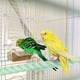thumbnail image 5 of Uxcell 2-Pack Posaderos de Cuerda para Jaulas de Aves, 23.6 in de Longitud, Posadero de Cuerda Flexible con Agarre Cómodo para Aves, Plataforma de Arena para Picoteo y Amasado [Cian], 5 of 7