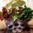 thumbnail image 1 of Maceta DYNWAVEMX Jardinera de calaveras, 1 of 8