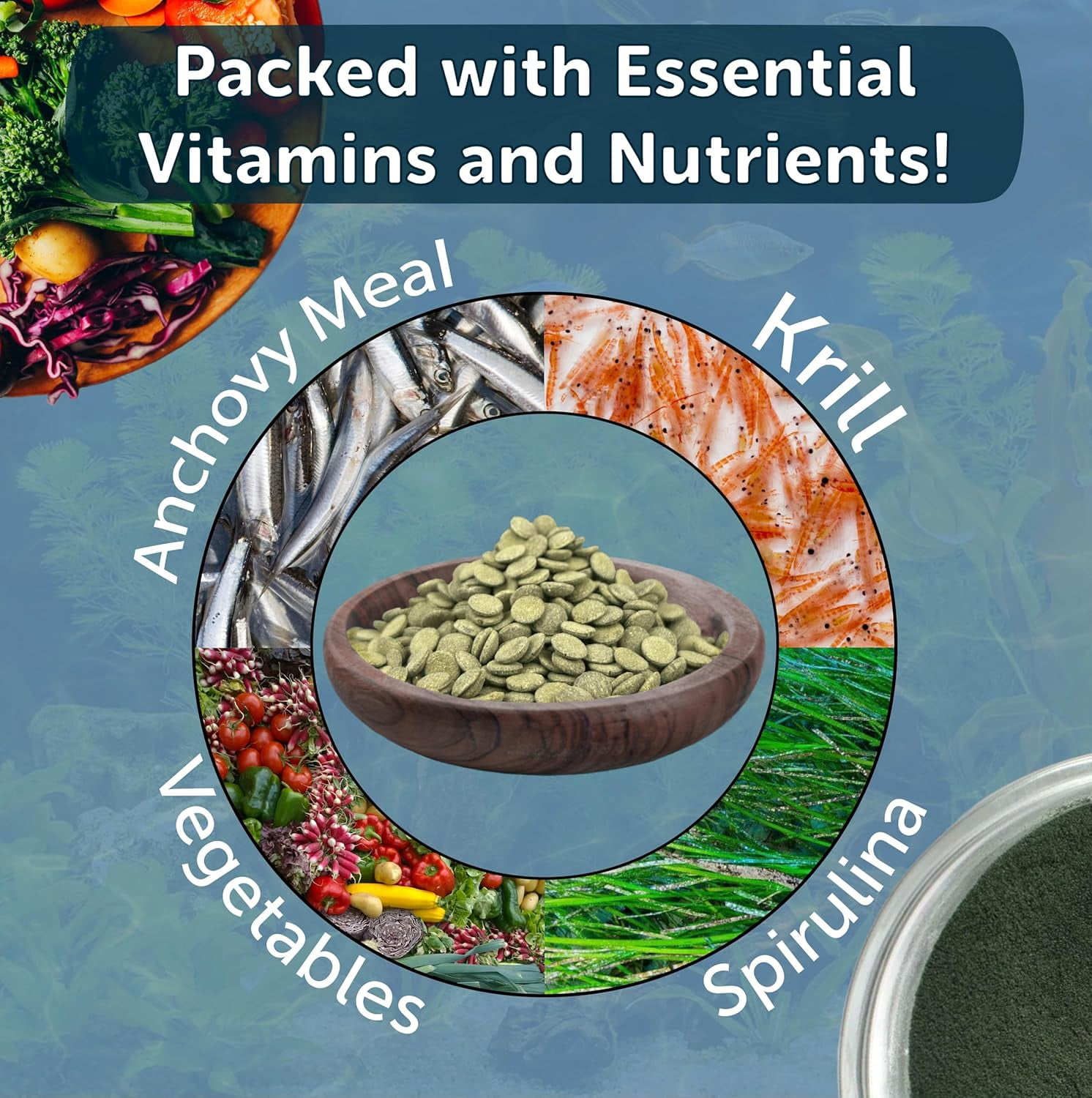 8mm - 1/3" Sinking Wafers of Spirulina, Algae for Plecos, Catfish, Shrimp, Snails & All Tropical Fish. Wafer & Pellet Mix Included 14oz Canister