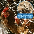 thumbnail image 5 of Fencer Wire 20 Gauge Galvanized Poultry Hex Netting with 2 inch Mesh, 5 of 8