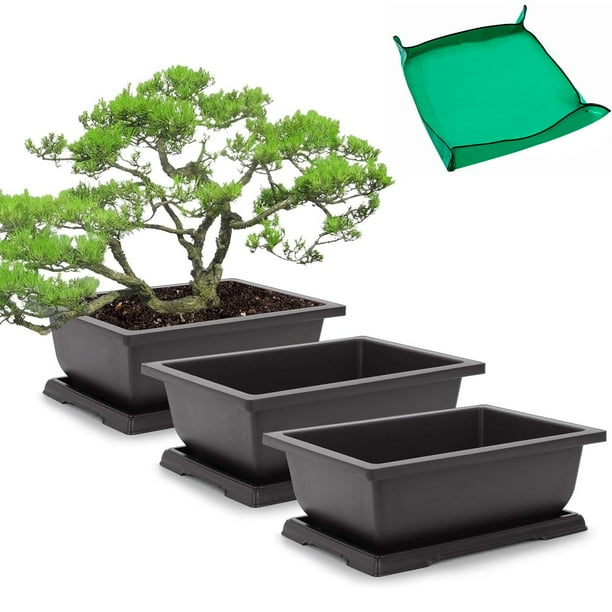 Set de 3 Macetas para Bonsái GROWNEER de 28 cm con Bandeja y Tapete