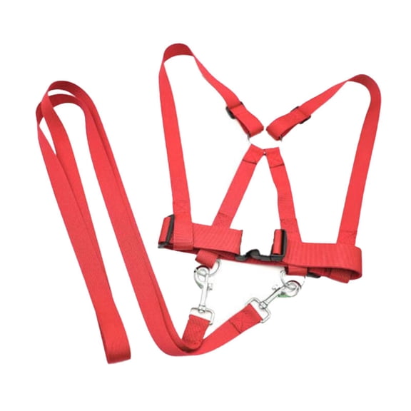 Arnés para caminar para niños, arnés para correr, cuerda, juego interactivo, correa para niños, arnés para juego de montar a caballo para niños, Rojo