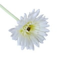 thumbnail image 1 of Sonceds 2pcs Artificial Flowers Home Decorations Fake African Daisy with 7 Layers, 1 of 1