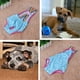 thumbnail image 1 of Correa lavable para perros, pantalones fisiológicos, pañales sanitarios para mascotas, bragas de menstruación, 1 of 5