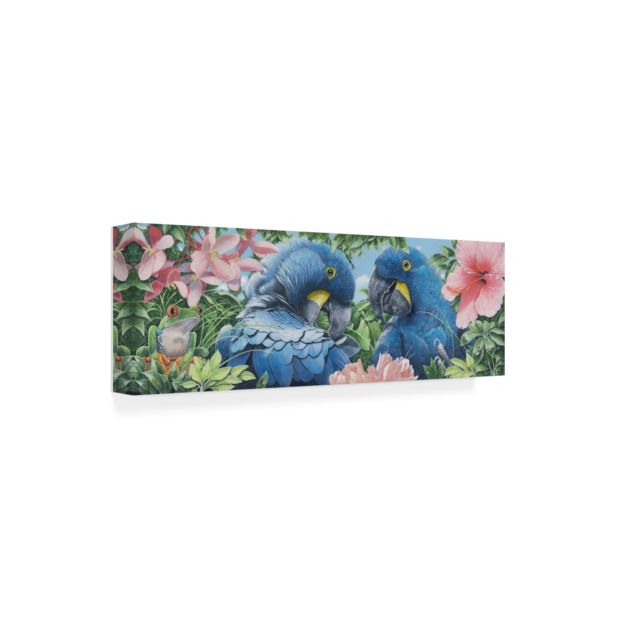 Durwood Coffey 'Blue Macaws' Canvas Art