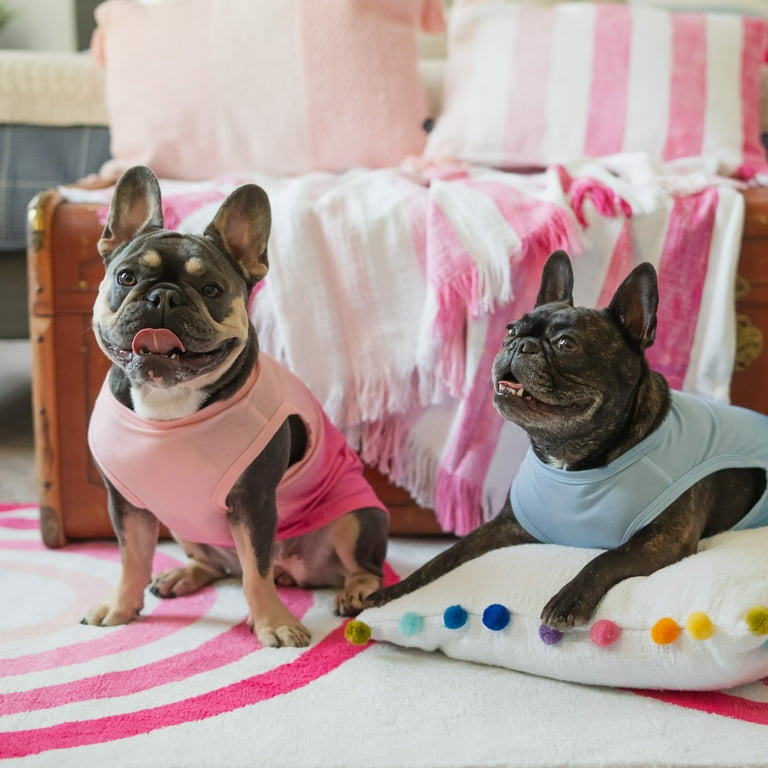 Gap Pet Dog and Cat Clothes Gradient Pocket Gap Pet T Shirt Pink Medium Walmart