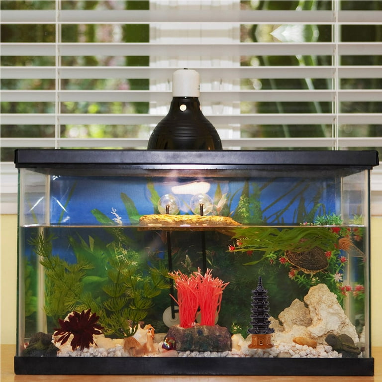 Japanese style fish tank sale