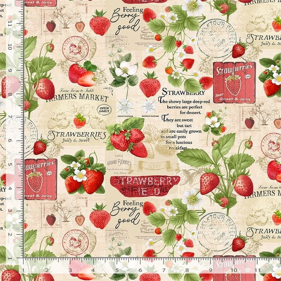 Cotton Berry Sweet Fruit Strawberries on Plaid Summer Picnic Vintage-Look Timeless Treasures Cotton Fabric Print by the Yard (FRUIT-CD3408-Red)