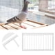 thumbnail image 3 of Trampa para pájaros, jaulas de hierro para pájaros, trampa para pájaros, trampa para pájaros, alta capacidad Jadeshay A, 3 of 8