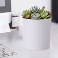 thumbnail image 4 of olkpmnmk 1Pc Ceramic Planter Pot with Drainage Hole, Indoor Cylinder Round Planter Pot, Small Plant Pots, Ceramic Succulent Pots for Seed Starting, Home, Office, Desk Supplies, 6.2x5.8 Inch, 4 of 9