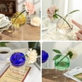 thumbnail image 5 of Creative Clear Glass Vase for Flowers,Flower Container Round Glass Vase for Home Decor Gift Centerpieces Events, 5 of 6