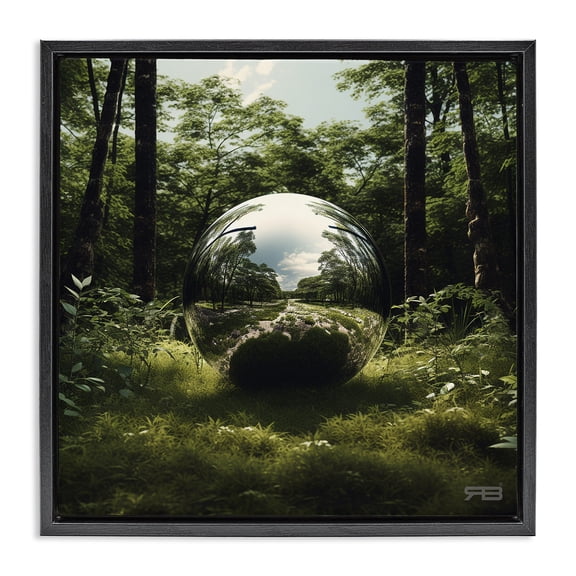 Stupell Industries Reflective Ball in Nature Landscape & Nature Painting Black Floater Framed Canvas Art Print Wall Art, 18 x 18