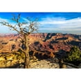 thumbnail image 2 of wall26 - Landscape View of Grand Canyon with Dry Tree in Foreground, Arizona, USA - Removable Wall Mural | Self-Adhesive Large Wallpaper - 66x96 inches, 2 of 6