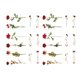 thumbnail image 3 of 12 hojas de pegatinas de flores rosas, pegatinas de hojas rojas, rosas y verdes, adhesivos fuertes, pegatinas decorativas de flores para álbumes de recortes, 3 of 5