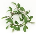 thumbnail image 1 of 4.5 in. Greenery Ring, 1 of 1