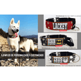 thumbnail image 2 of Collar Indestructible Sin Picos, Para Pitbull y razas fuertes Chaparrömm Brothers Collar GT, 2 of 6