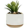thumbnail image 6 of Pavilion Gift Company - Blessed - 5" Artificial Potted Plant, 6 of 9