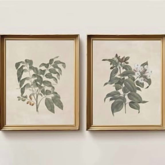Botanical Art Set of 2, Floral Study Print, Neutral Floral Wall Art, Vintage Nursery Art, Poster Only