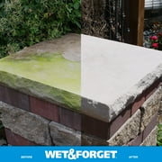 (عبوة من قطعتين) بخاخ مزيل بقع الطحالب والعفن والفطريات والطحالب من Wet & Forget للاستخدام الخارجي، 64 أونصة