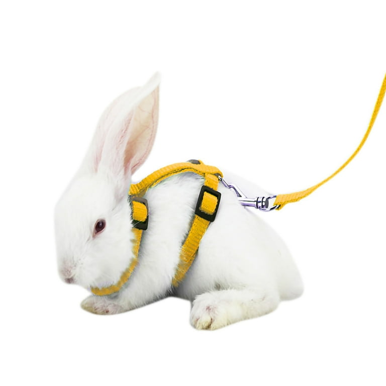 Bunny leash walmart 2025