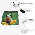 thumbnail image 3 of Honeii Tree Frog Sitting On Sunflowes Print Mens Boxer Briefs Breathable,Boxer Brief for Men, Moisture-Wicking Underwear-Large, 3 of 5