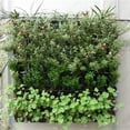 thumbnail image 5 of Zcyifa Vertical Garden Planter Wall Pot Black, 5 of 11