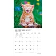 thumbnail image 4 of Kitten Cuddles | 2027 12x24" (Hanging) Wall Calendar | Foil Stamped Cover | Plato, 4 of 9