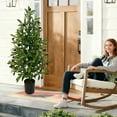 thumbnail image 4 of 35“ Artificial Olive Tree with Pot, Tabletop Faux Plants Mini Trees for Indoor Outdoor Home Living Room Modern Decor Entryway Living Room Realistic GreenDisplay (1Pcs), 4 of 6