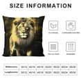 thumbnail image 5 of Chilfamy Lion Pillow Covers Square Design Indoor Outdoor Short Plush Pillow Case 1PC 18x18in, 5 of 5