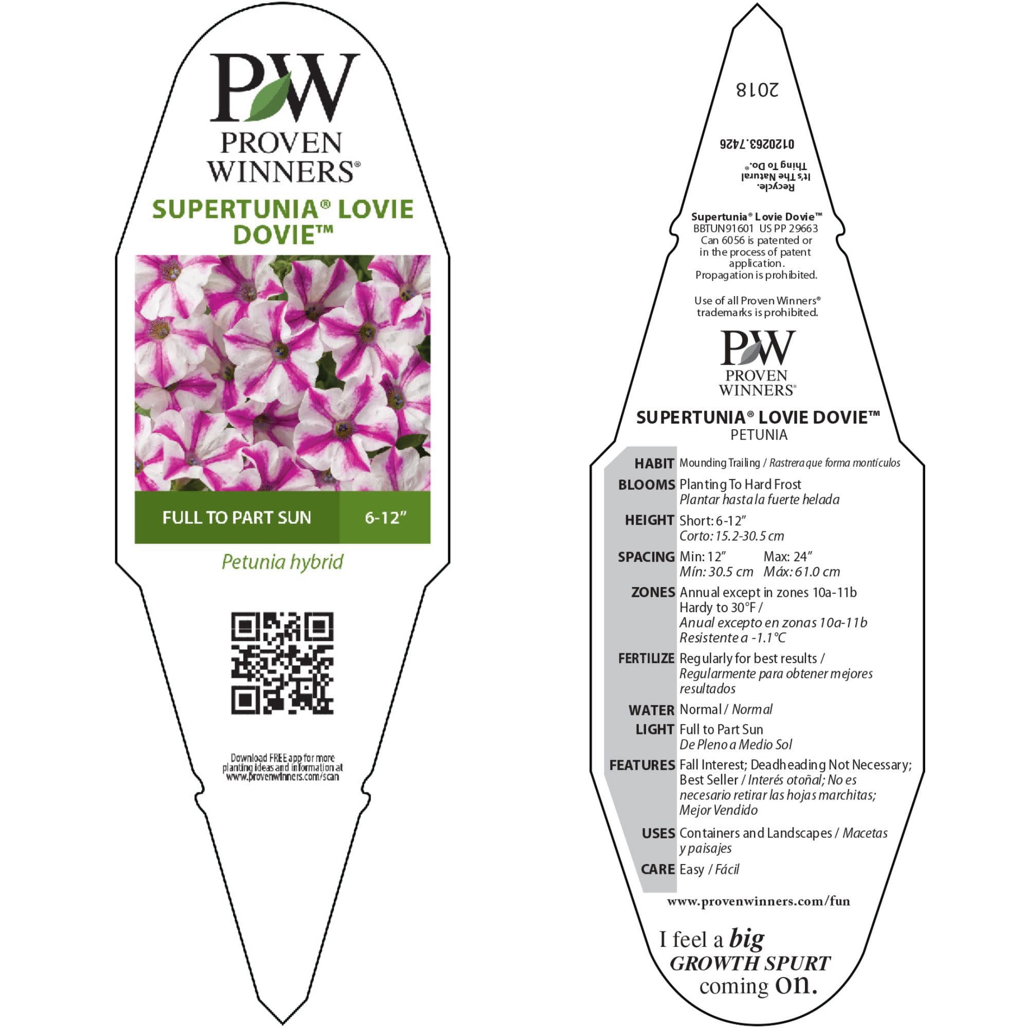 Proven Winners 4" Pink Supertunia Lovie Dovie Petunia Live Plant in 4.25" Pot (4 Count)