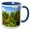 Blue/White, variant on 3drose, Green Needles of a Dwarf Pine Trees on a Sunny Day of Spring, 11oz Mug