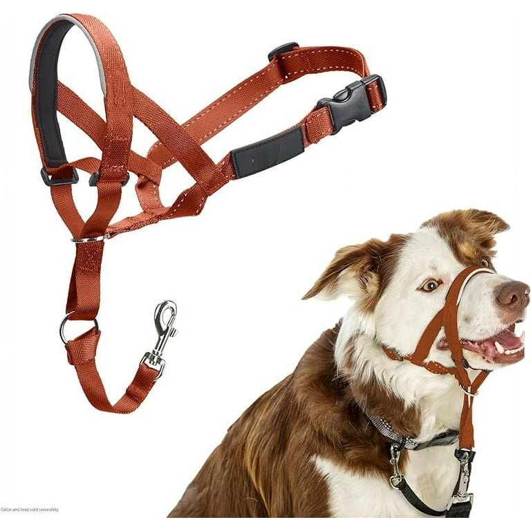 Head Collar Prevents Dogs from Pulling the Leash. Adjustable Reflective Lightweight with Padded Nose Strap. Suitable for Medium Sized Dog Dog Training Anti Pull Collar Walmart