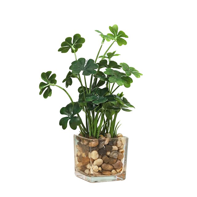 Botella de vidrio, trébol de cuatro hojas, planta verde perenne, decoración en maceta, decoración del hogar, decoración de escritorio